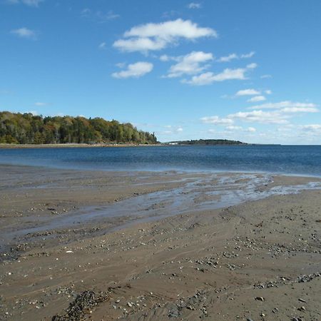 Atlantic View Motel Lunenburg Dış mekan fotoğraf
