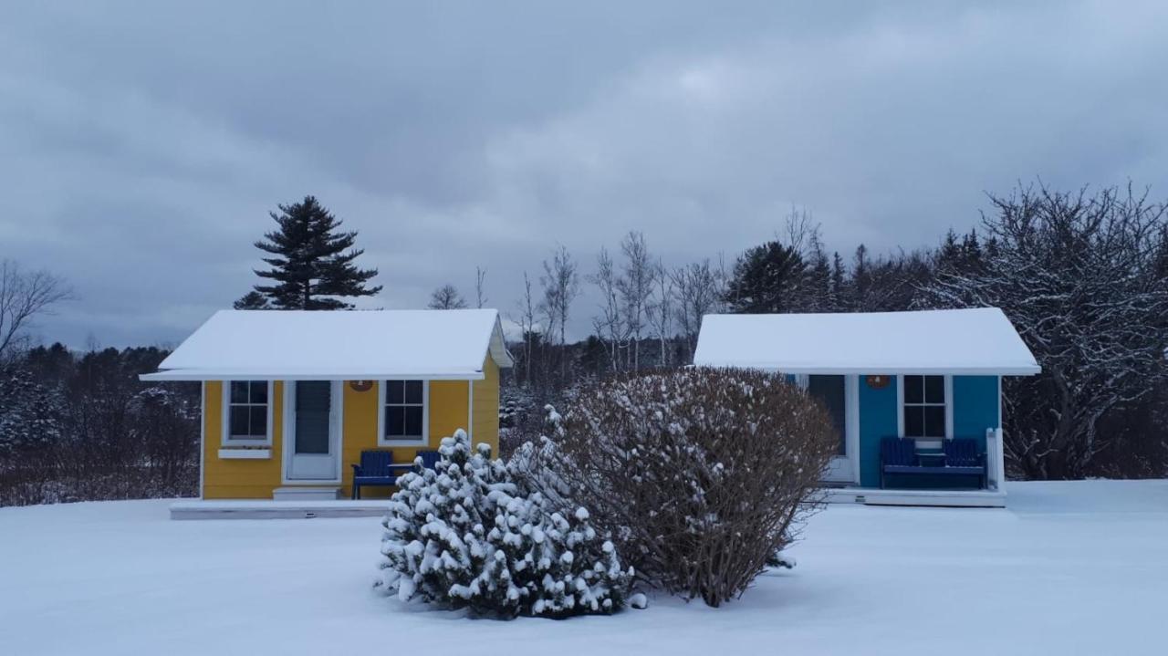 Atlantic View Motel Lunenburg Dış mekan fotoğraf